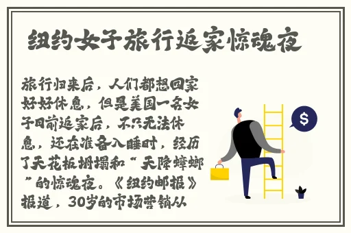 苏畅我回来了传媒